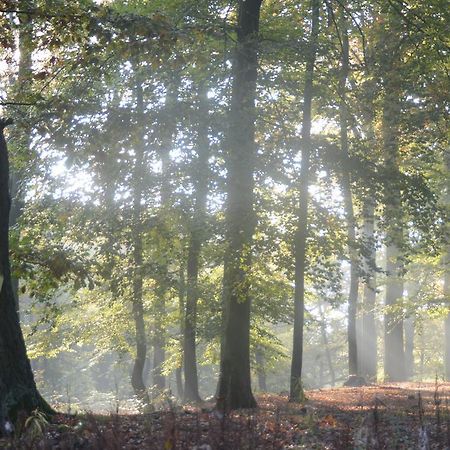 Ferienwohnung Deutschmann Dahlen Buitenkant foto