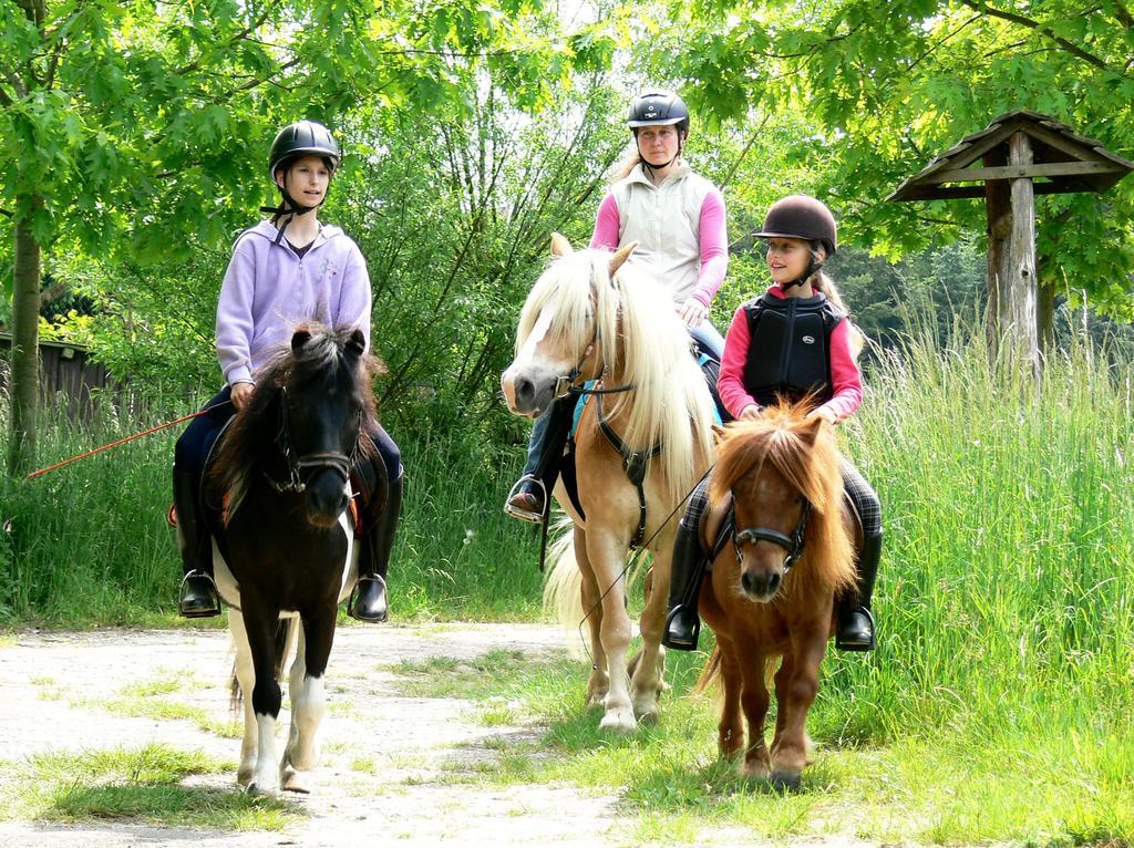 Ferienwohnung Deutschmann Dahlen Buitenkant foto