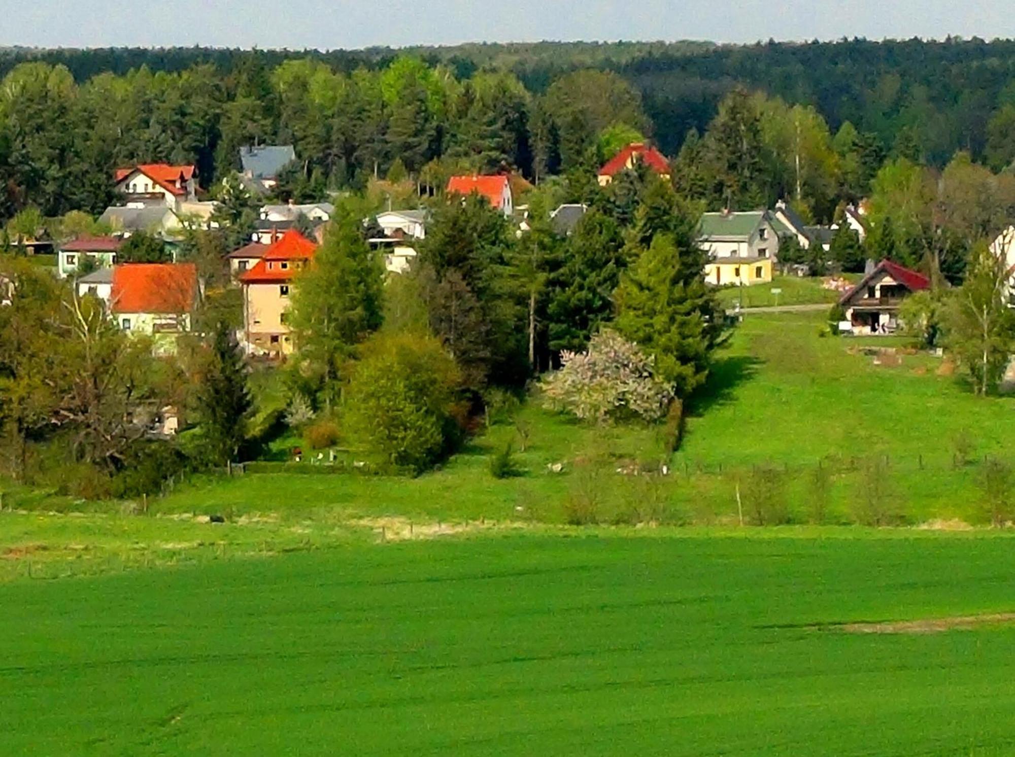 Ferienwohnung Deutschmann Dahlen Buitenkant foto