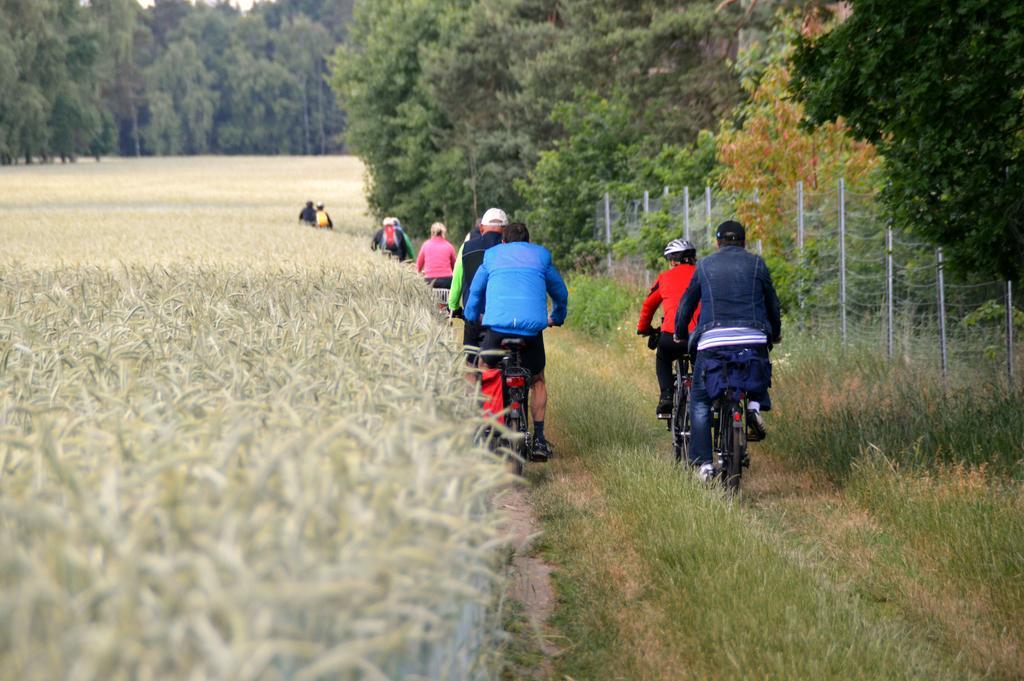 Ferienwohnung Deutschmann Dahlen Buitenkant foto