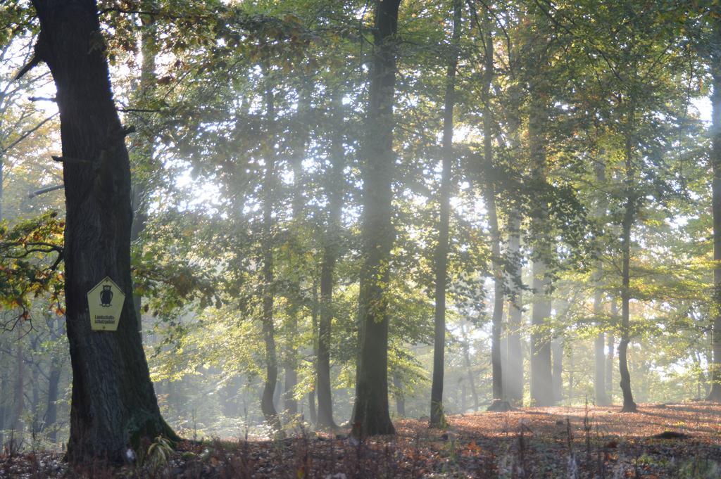 Ferienwohnung Deutschmann Dahlen Buitenkant foto